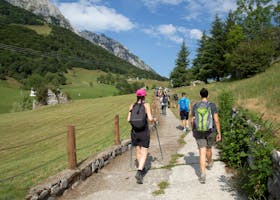 A group of hikers enjoying a sunny day on a scenic mountain trail.