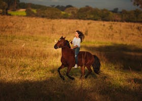 Full body side view of female equestrian riding brown horse on sunny meadow with shadow in countryside during horseback training