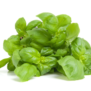 Albahaca