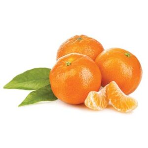 China mandarina