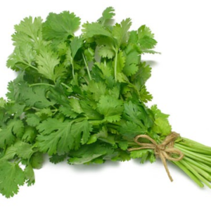 Cilantrillo