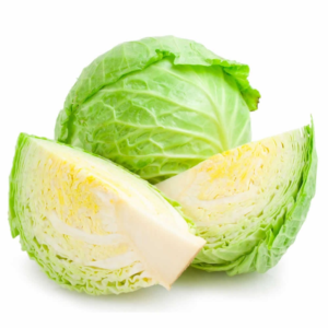 Repollo