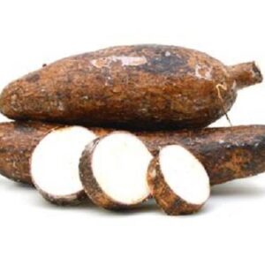 Yuca