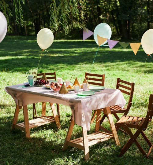 birthday party picnic