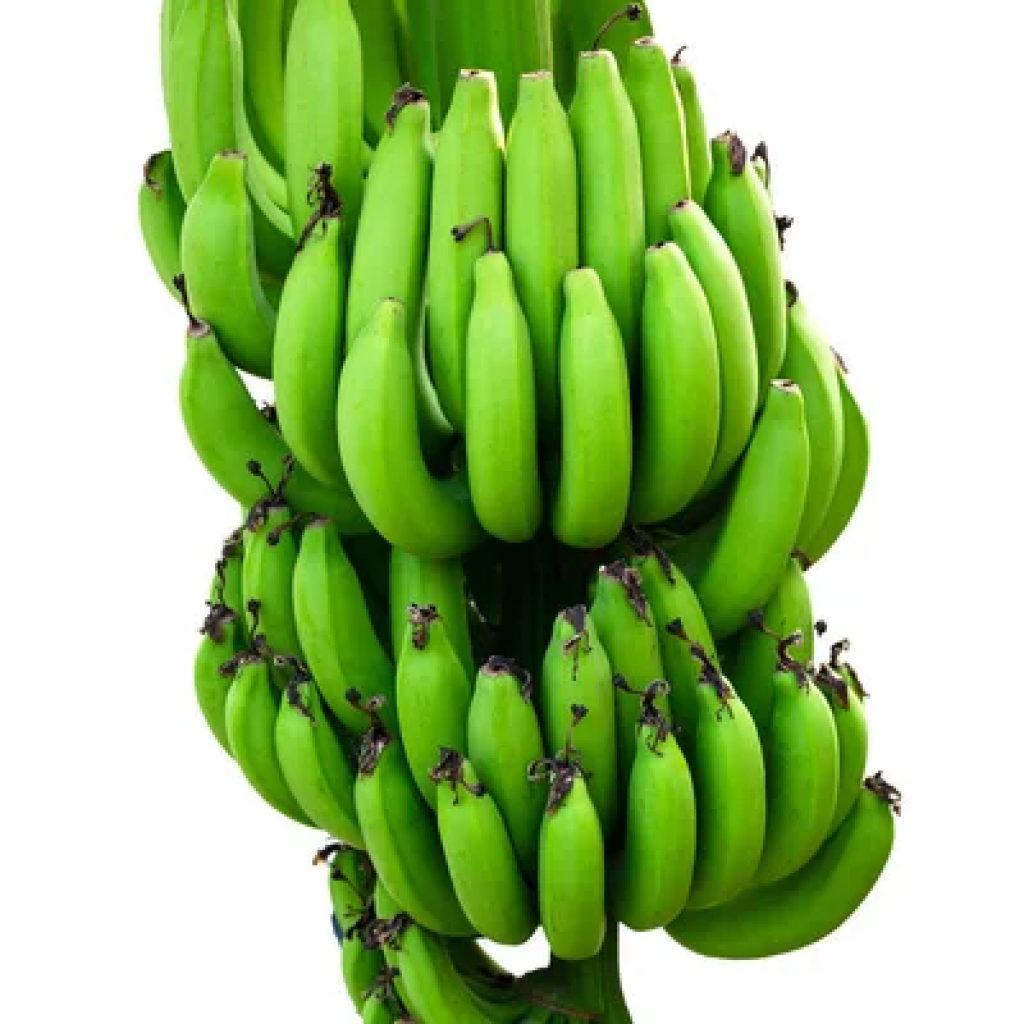 store_01JH3KWDZHDSJHMQE244WJVQNF_assets_1737401282892-store_01JH3KWDZHDSJHMQE244WJVQNF2F1737401241602-19pm20verderacimo